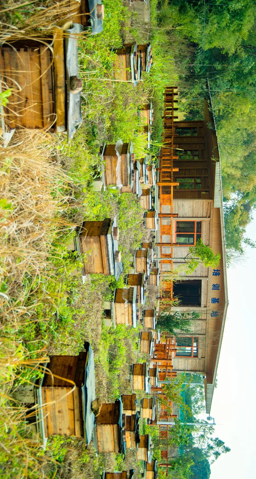 生态产品价值实现典型案例 | 梧州市蒙山县发展“甜蜜”经济助推生态产品价值实现案例