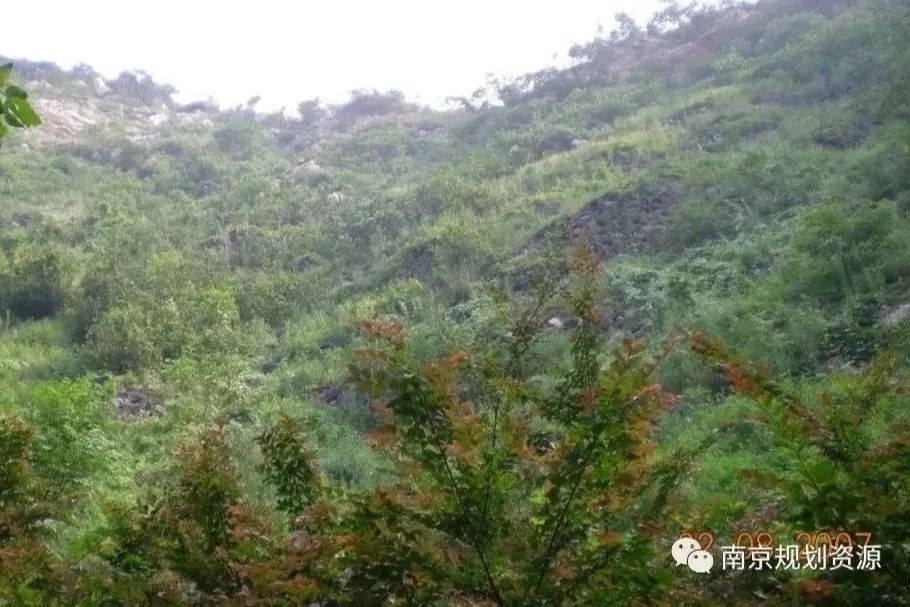 我市两案例入选第二届江苏省“最美生态保护修复案例”