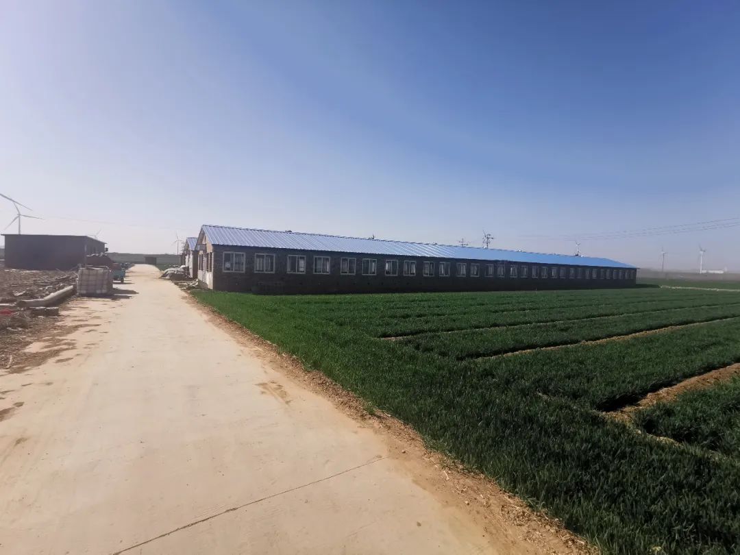 最高检发布10件耕地保护检察公益诉讼典型案例 最高检发布10件耕地保护检察公益诉讼典型案例
