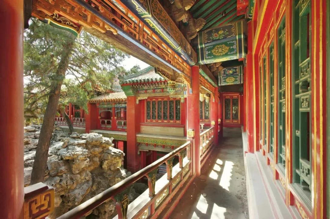 美苑英华丨感知历史 成就未来：故宫宁寿宫花园保护实习项目回顾