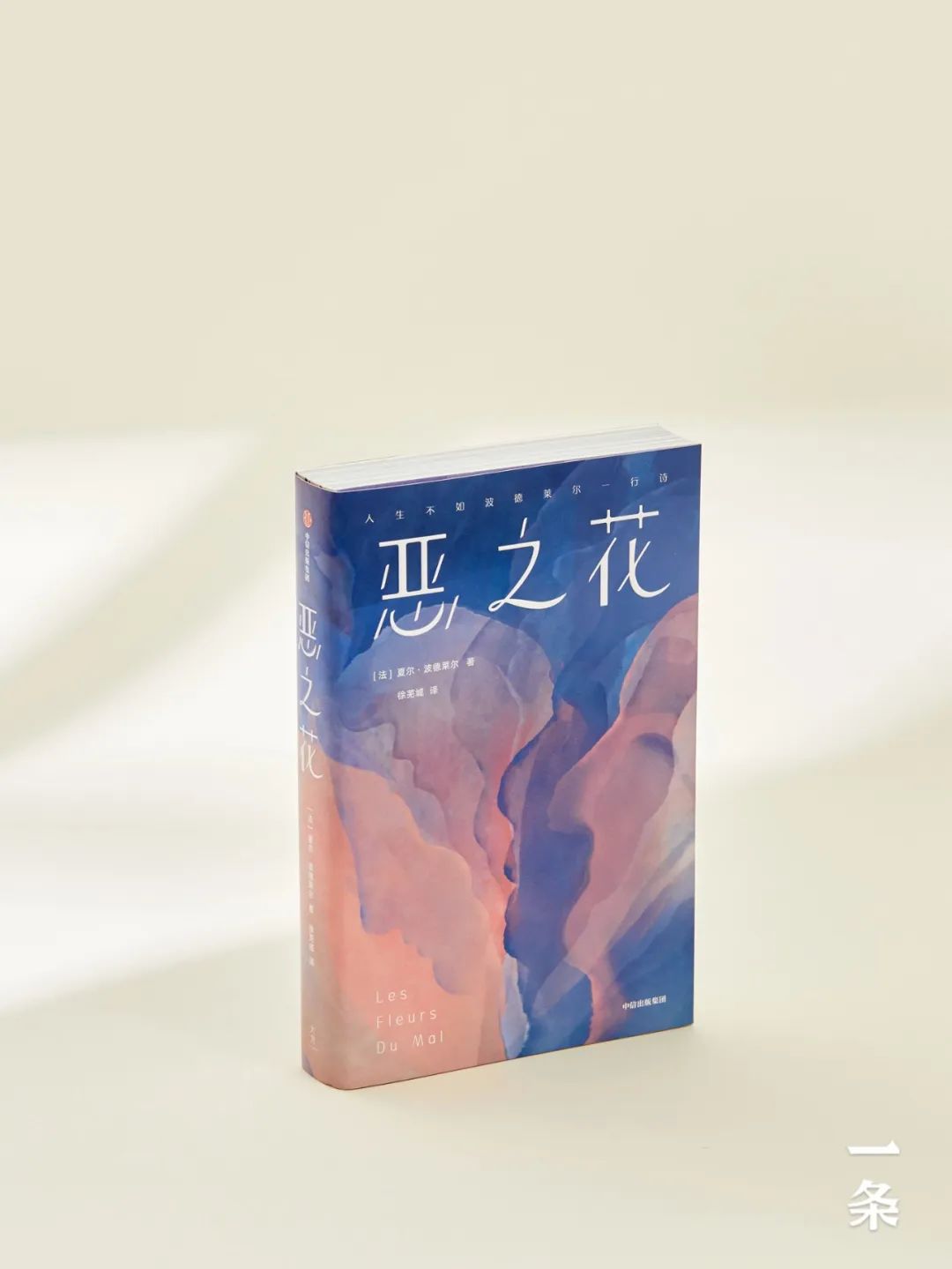 他才是City Walk第一人