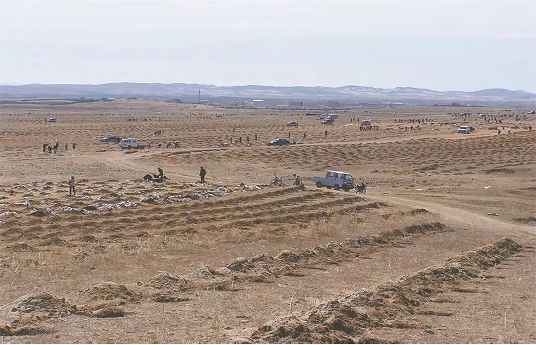 内蒙古多伦县：昔日风沙地变身“北京后花园”