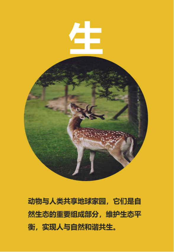 【城市空间艺术季】“花满地、草连天、水云间”·遇见云间2023空间艺术季松江新城五龙湖休闲公园展区即将开幕