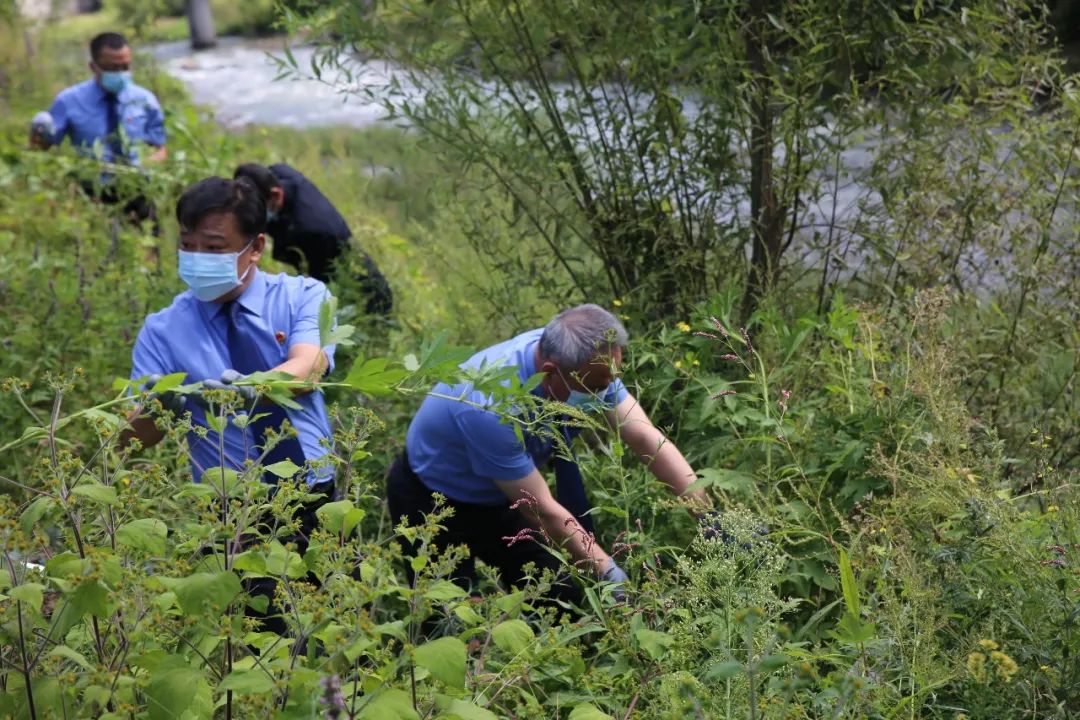 最高检发布10件耕地保护检察公益诉讼典型案例 最高检发布10件耕地保护检察公益诉讼典型案例