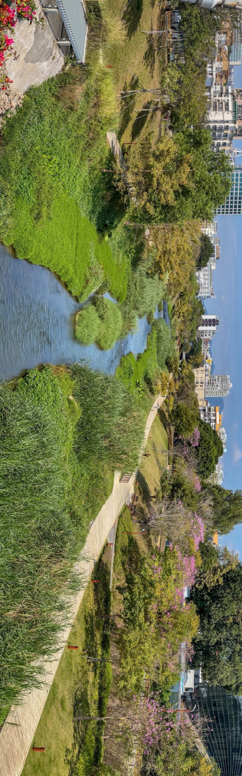 全景 全景