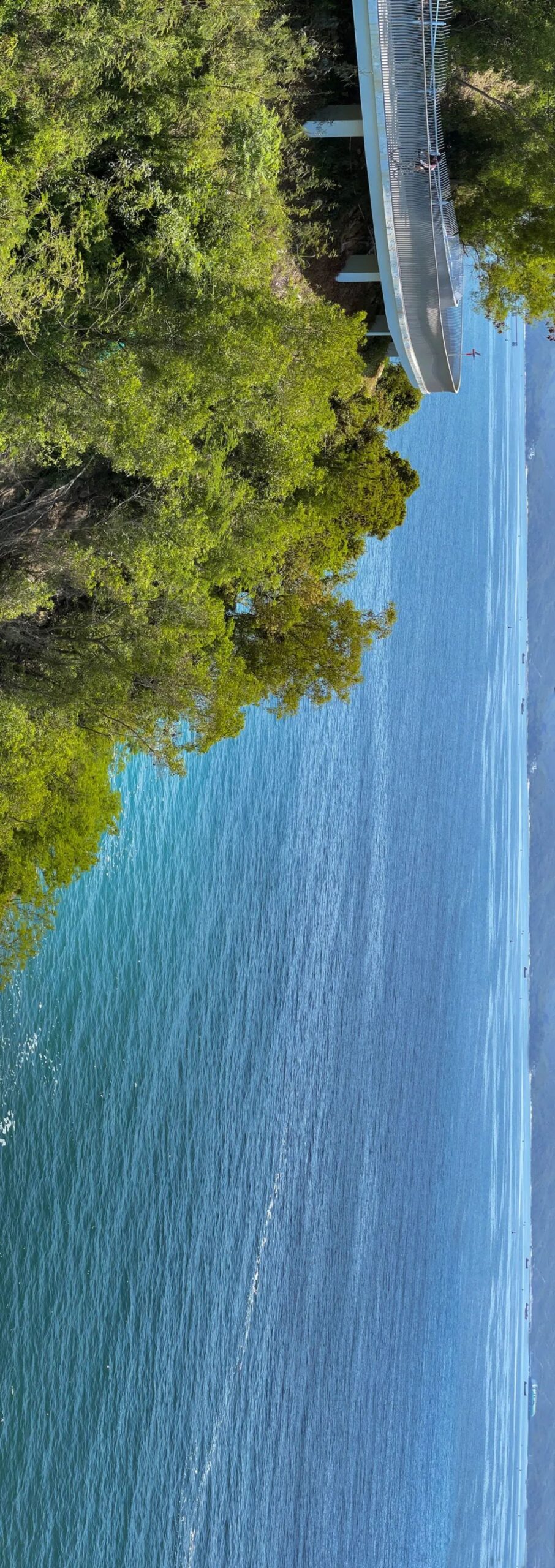 全景 全景