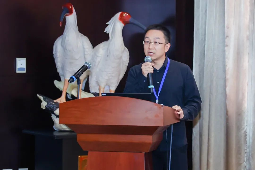 会议 | 2023年中国城市交通规划年会成功举办