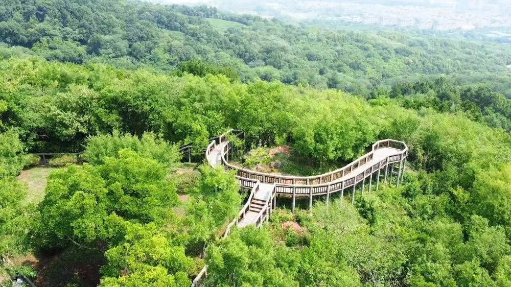 全省最美！南京这两处上榜