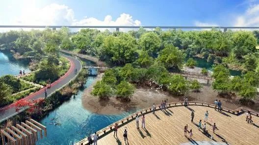 寻回梦中红树 共享湿地家园——广州市南沙区红树林修复与提升规划 寻回梦中红树 共享湿地家园——广州市南沙区红树林修复与提升规划