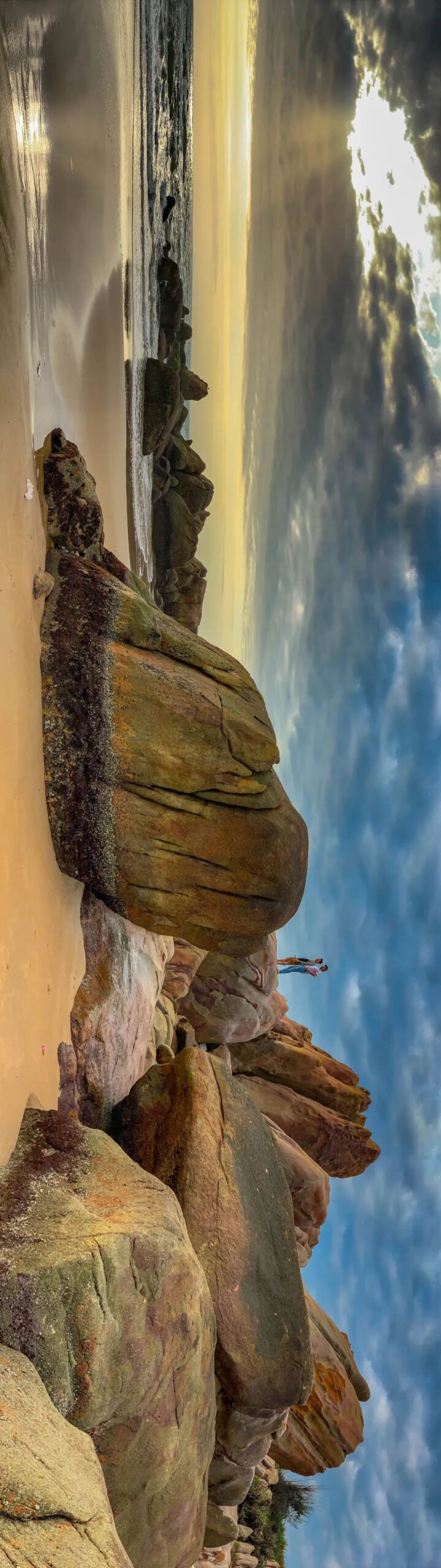 全景 全景