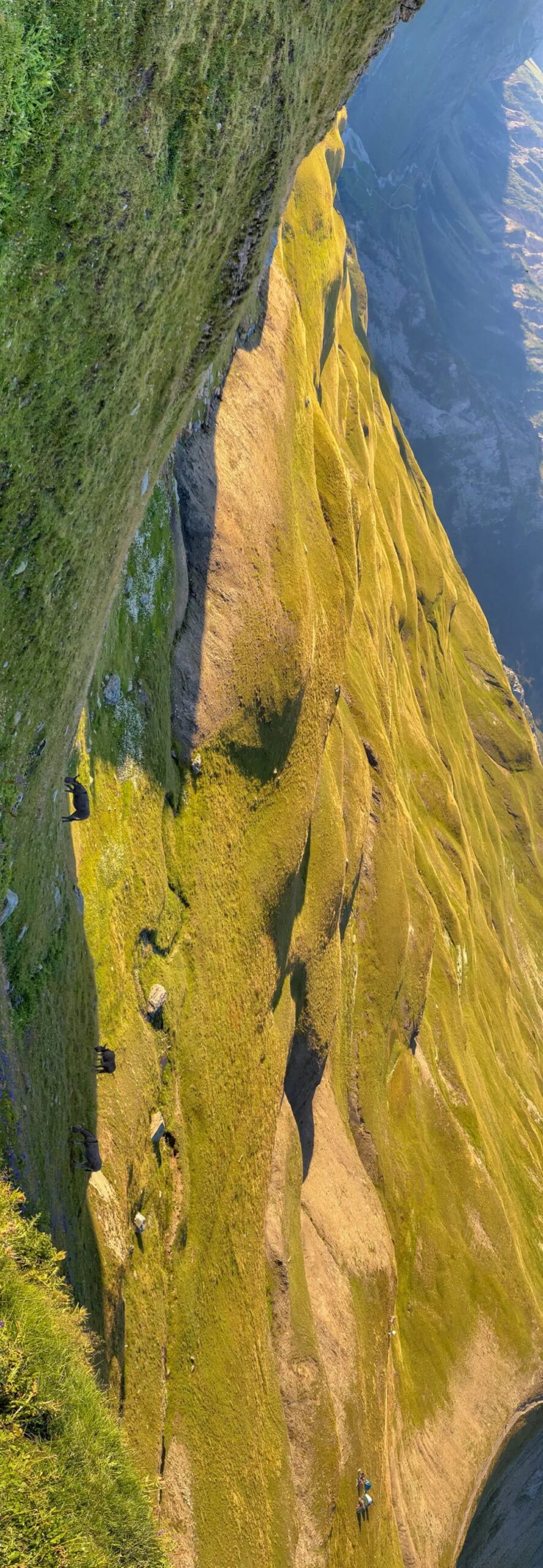 全景 全景