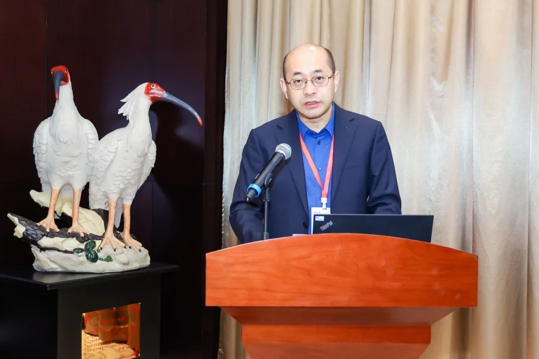 会议 | 2023年中国城市交通规划年会成功举办