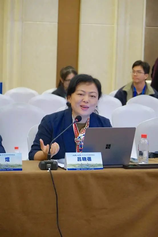 数智规划与中外城市治理 | 规划年会 · 学术对话十一