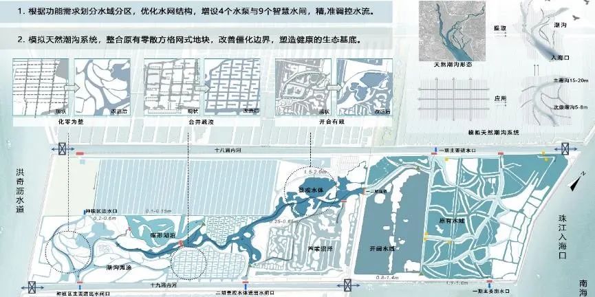 寻回梦中红树 共享湿地家园——广州市南沙区红树林修复与提升规划 寻回梦中红树 共享湿地家园——广州市南沙区红树林修复与提升规划