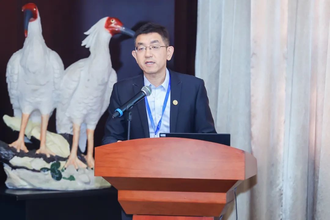 会议 | 2023年中国城市交通规划年会成功举办