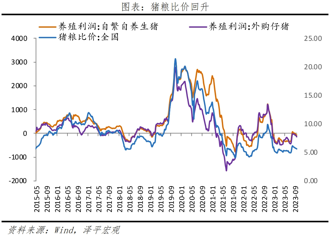 当前经济形势：回归实用主义