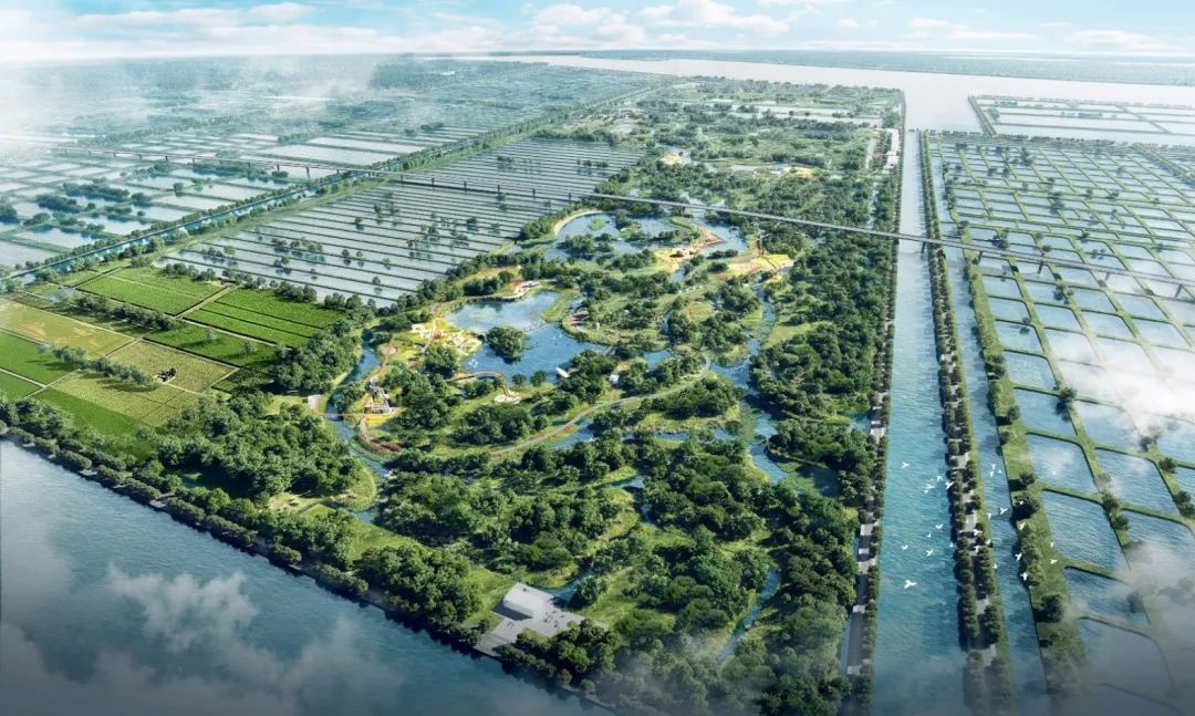 寻回梦中红树 共享湿地家园——广州市南沙区红树林修复与提升规划 寻回梦中红树 共享湿地家园——广州市南沙区红树林修复与提升规划