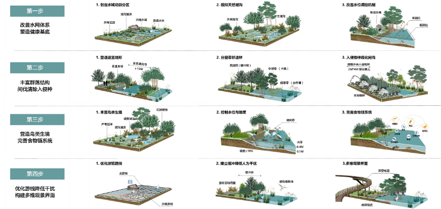 寻回梦中红树 共享湿地家园——广州市南沙区红树林修复与提升规划 寻回梦中红树 共享湿地家园——广州市南沙区红树林修复与提升规划