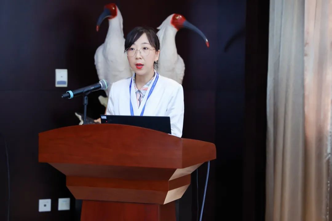 会议 | 2023年中国城市交通规划年会成功举办