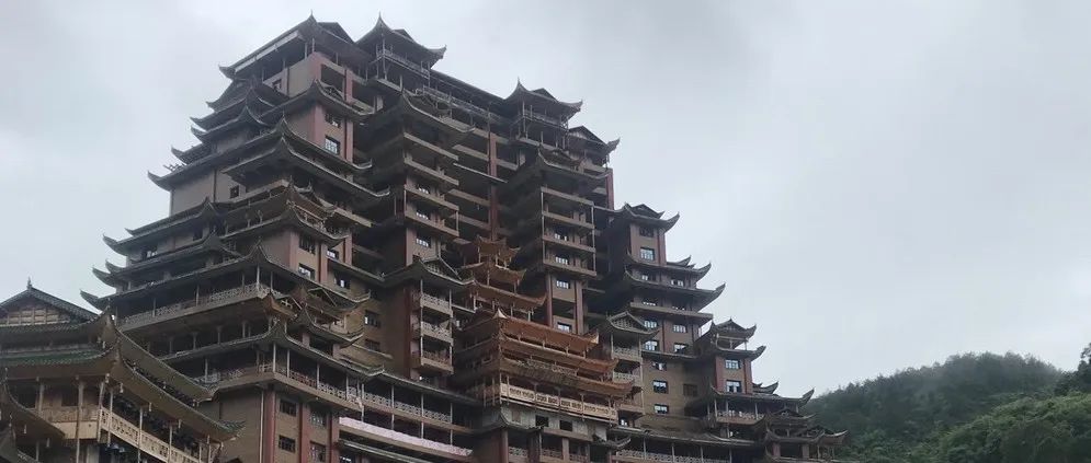 麻省理工科技评论:世界最大烂尾机场的再野化之路 麻省理工科技评论:世界最大烂尾机场的再野化之路