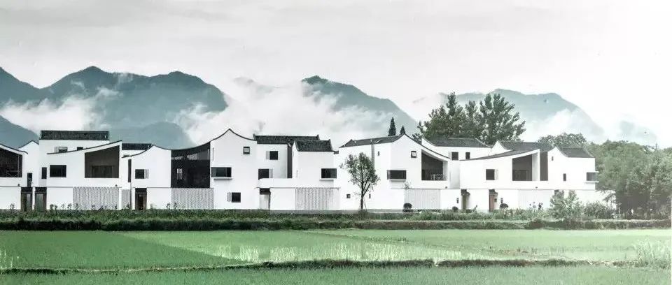 评协和医学院天津校区——传统从何而来? 评协和医学院天津校区——传统从何而来?