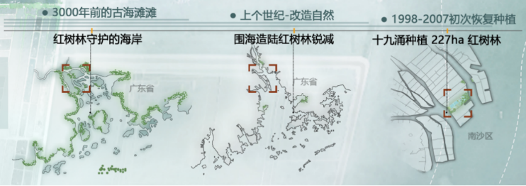 寻回梦中红树 共享湿地家园——广州市南沙区红树林修复与提升规划 寻回梦中红树 共享湿地家园——广州市南沙区红树林修复与提升规划
