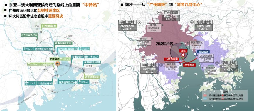 寻回梦中红树 共享湿地家园——广州市南沙区红树林修复与提升规划 寻回梦中红树 共享湿地家园——广州市南沙区红树林修复与提升规划