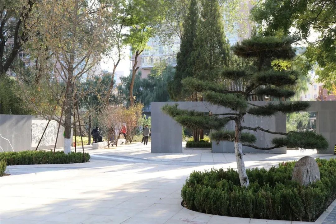 再现千年运河记忆!“运河第一闸”及龙王庙片区焕新 再现千年运河记忆!“运河第一闸”及龙王庙片区焕新