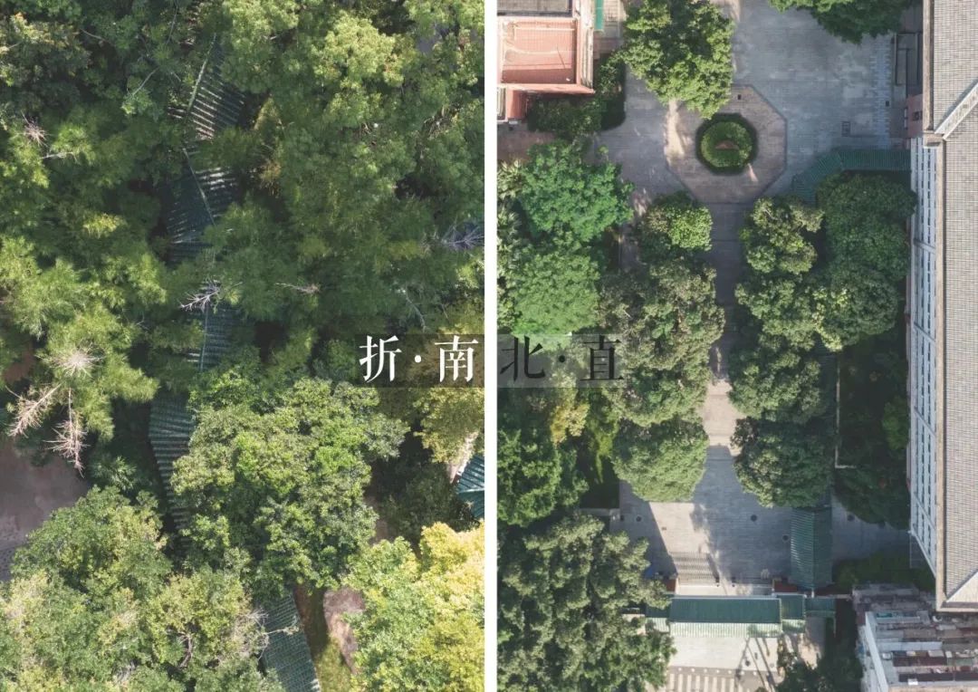 老树发新芽,老校焕新颜,协和中学校园功能微改造工程项目 | 作品 老树发新芽,老校焕新颜,协和中学校园功能微改造工程项目 | 作品