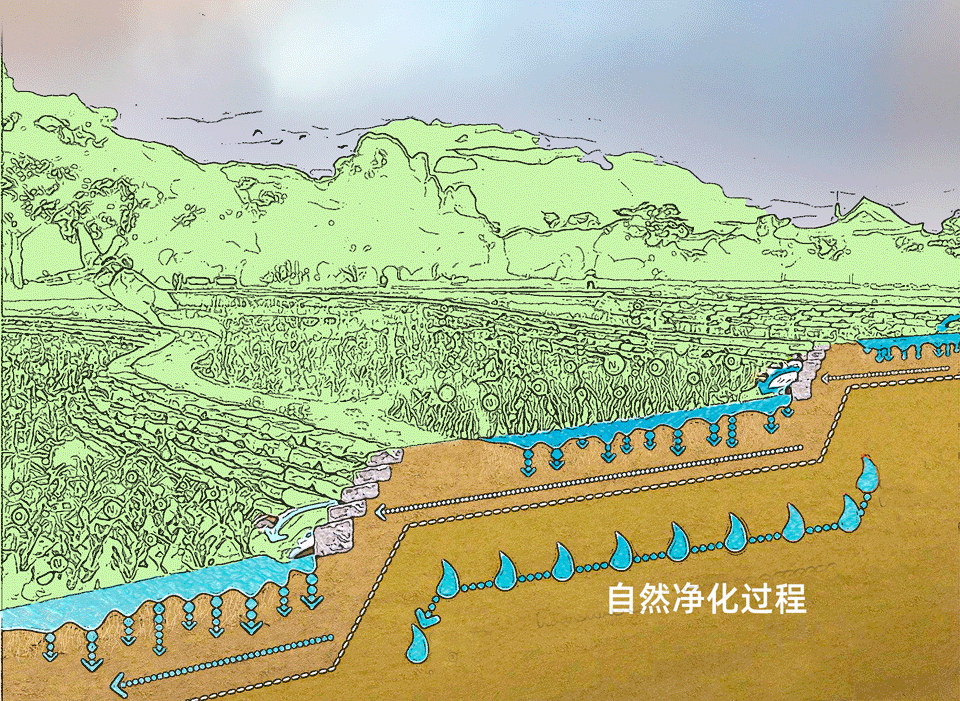 城市「生物多样性」的建设与经营 城市「生物多样性」的建设与经营
