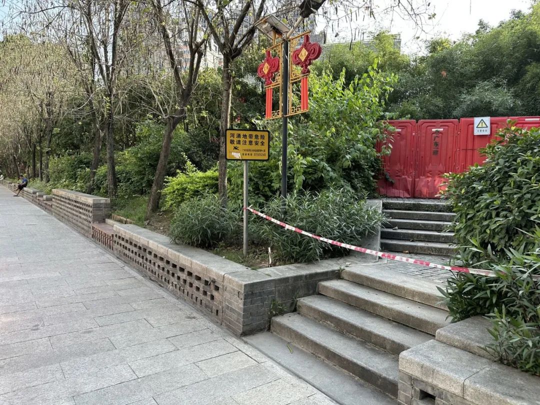 五“月”十二桥,再“叹”荔枝湾|广州味•规划思 五“月”十二桥,再“叹”荔枝湾|广州味•规划思