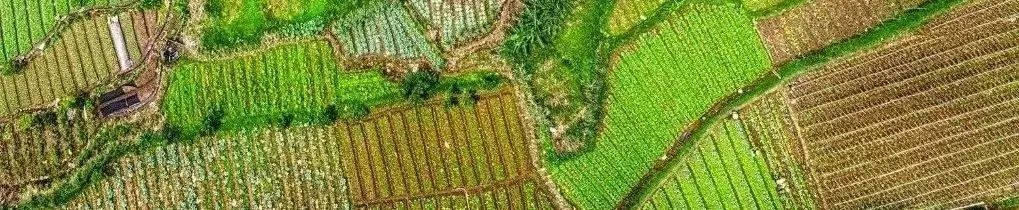 地方动态 | 上海通过土地管理法实施办法,明确空间留白机制,严格管控战略预留区及其启用 地方动态 | 上海通过土地管理法实施办法,明确空间留白机制,严格管控战略预留区及其启用