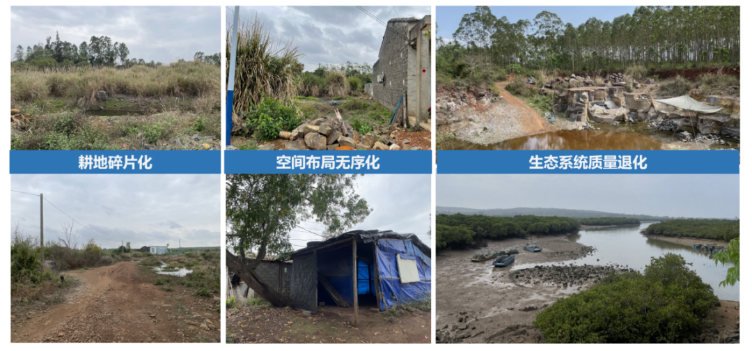 不予不取、就地发展丨临高县新盈镇全域土地综合整治项目实施方案 不予不取、就地发展丨临高县新盈镇全域土地综合整治项目实施方案