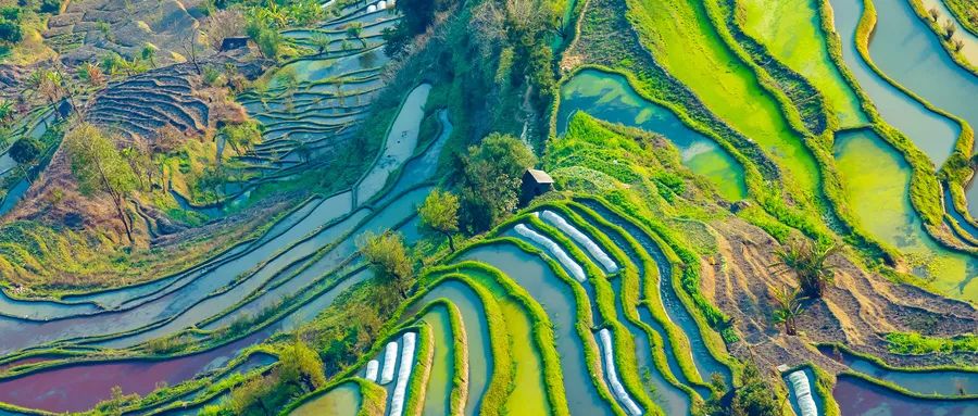 构建从山顶到海洋的保护治理大格局——自然资源部建立国土空间生态修复规划体系综述