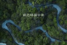 这个政策施行,生态系统碳汇开发迎来黄金发展期-规划问道