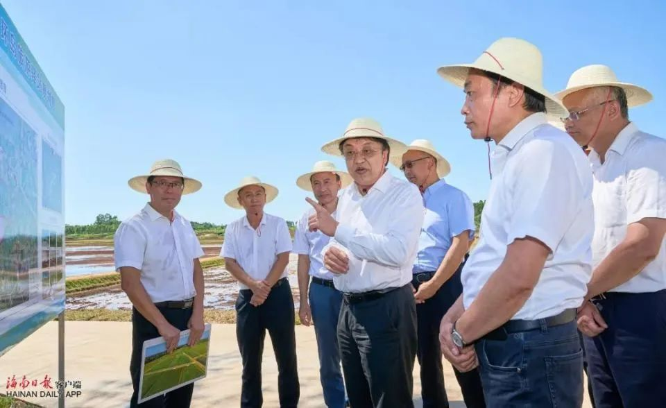 不予不取、就地发展丨临高县新盈镇全域土地综合整治项目实施方案 不予不取、就地发展丨临高县新盈镇全域土地综合整治项目实施方案