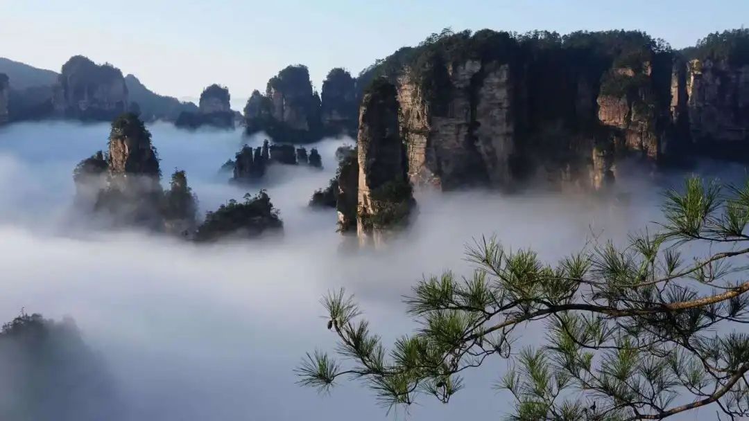 马牧青：景区提升永无止境（全文）