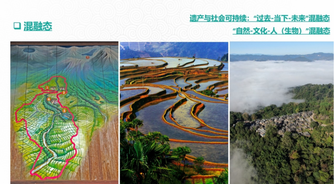 第三届文化遗产价值研究与保护传承论坛简讯 第三届文化遗产价值研究与保护传承论坛简讯