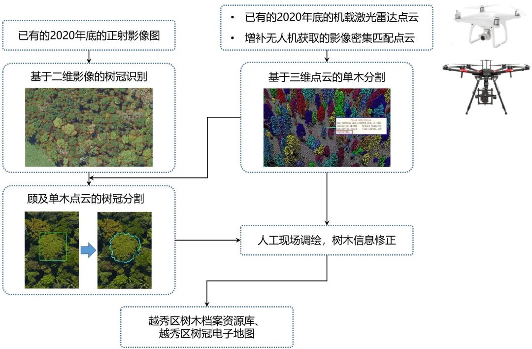 建设越秀树木资源档案,绘制绿美广州生态画卷 建设越秀树木资源档案,绘制绿美广州生态画卷