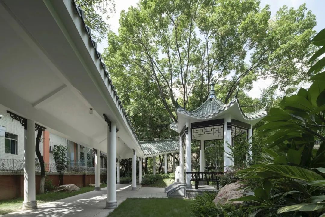 老树发新芽,老校焕新颜,协和中学校园功能微改造工程项目 | 作品 老树发新芽,老校焕新颜,协和中学校园功能微改造工程项目 | 作品
