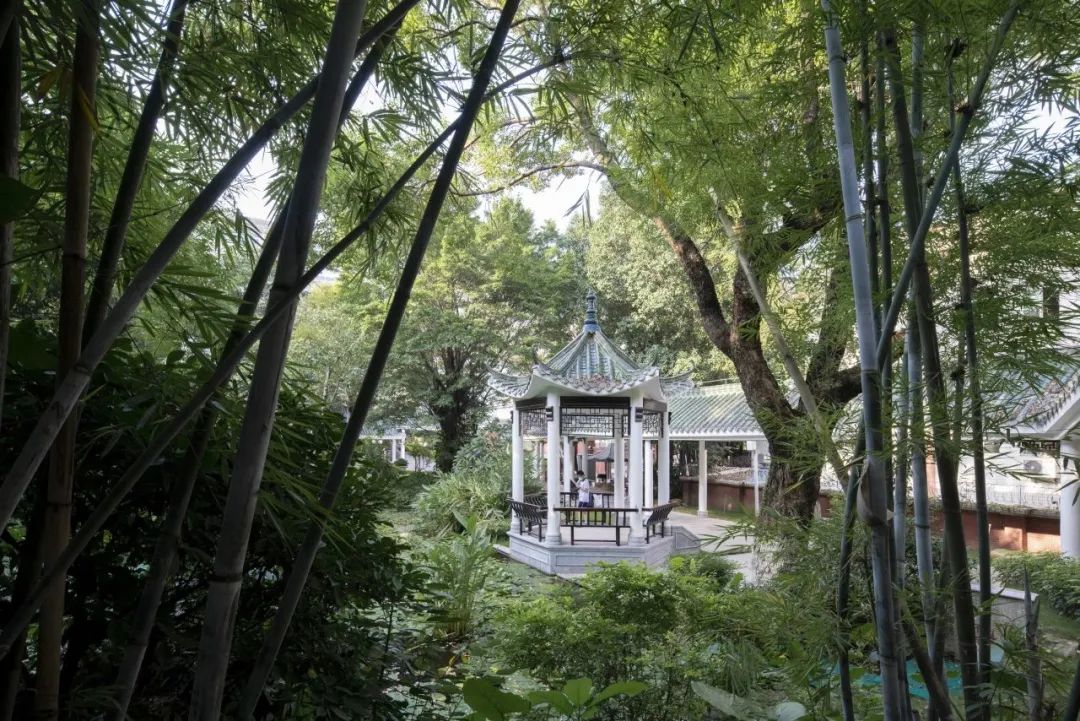 老树发新芽,老校焕新颜,协和中学校园功能微改造工程项目 | 作品 老树发新芽,老校焕新颜,协和中学校园功能微改造工程项目 | 作品
