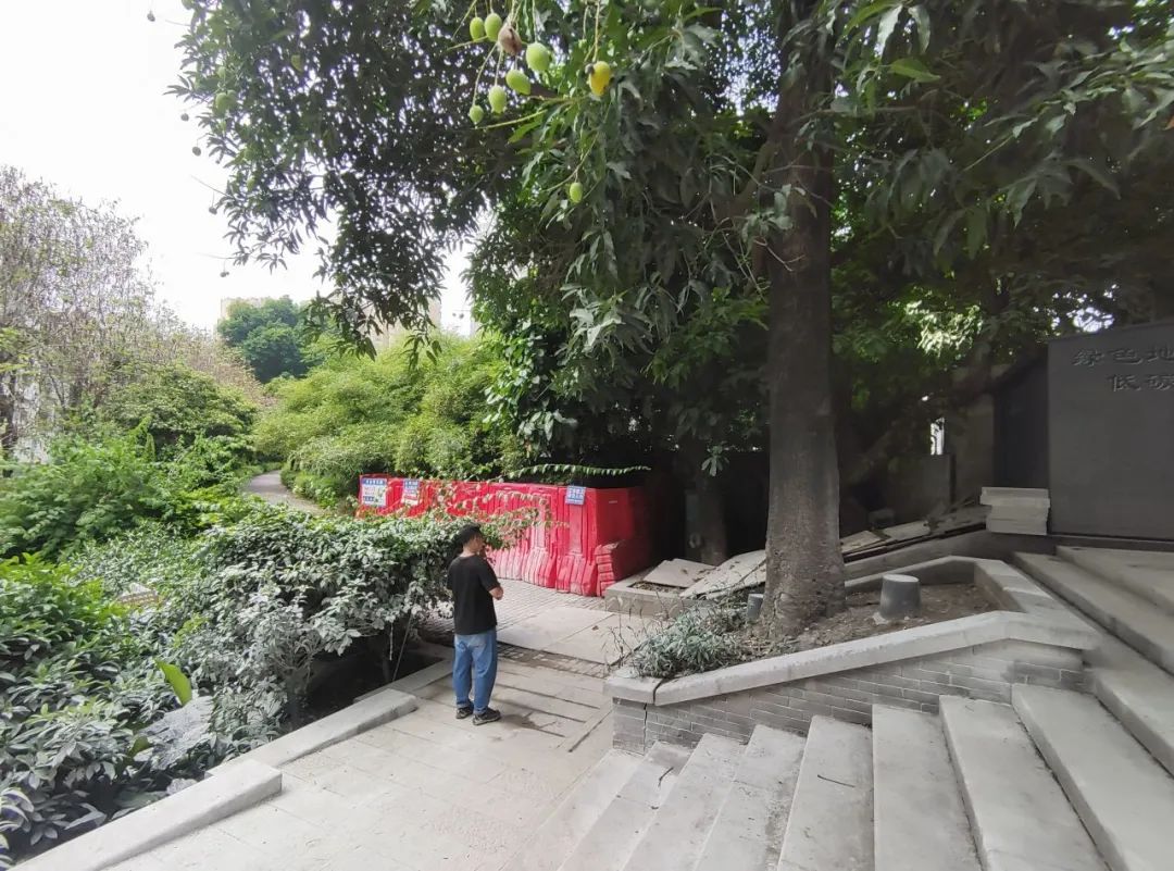 五“月”十二桥,再“叹”荔枝湾|广州味•规划思 五“月”十二桥,再“叹”荔枝湾|广州味•规划思
