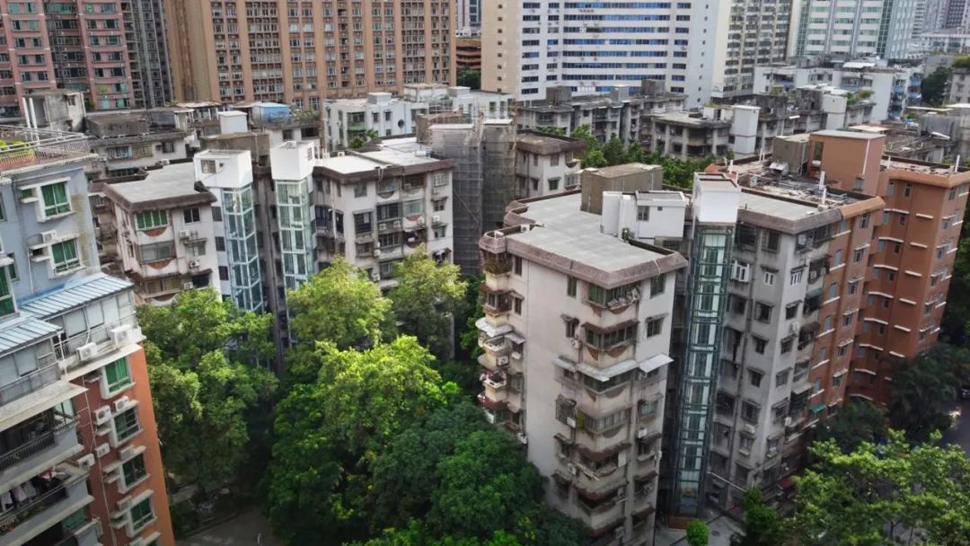紧握奋进之笔,画好“四张图”,当好服务民生的设计师|社区设计师 紧握奋进之笔,画好“四张图”,当好服务民生的设计师|社区设计师