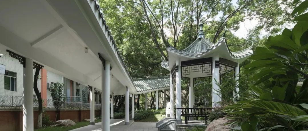 紧握奋进之笔,画好“四张图”,当好服务民生的设计师|社区设计师 紧握奋进之笔,画好“四张图”,当好服务民生的设计师|社区设计师
