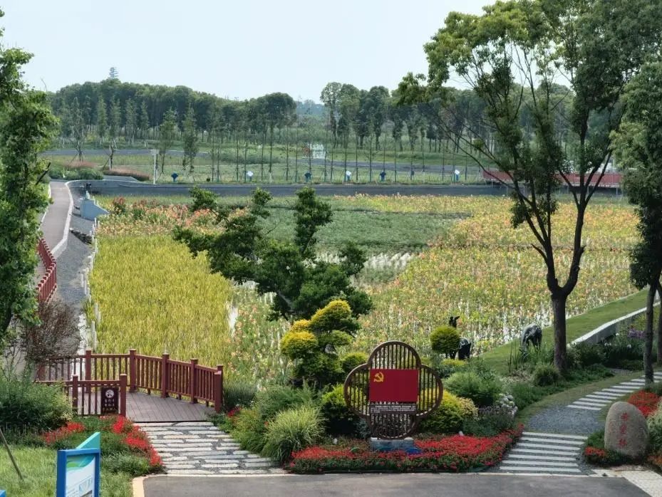以绿生金,生态敏感地区的绿色发展路径——苏州太湖生态岛生态产品价值实现的创新实践 以绿生金,生态敏感地区的绿色发展路径——苏州太湖生态岛生态产品价值实现的创新实践