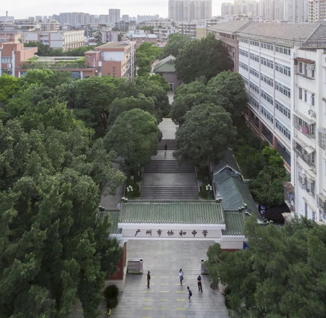 老树发新芽,老校焕新颜,协和中学校园功能微改造工程项目 | 作品 老树发新芽,老校焕新颜,协和中学校园功能微改造工程项目 | 作品