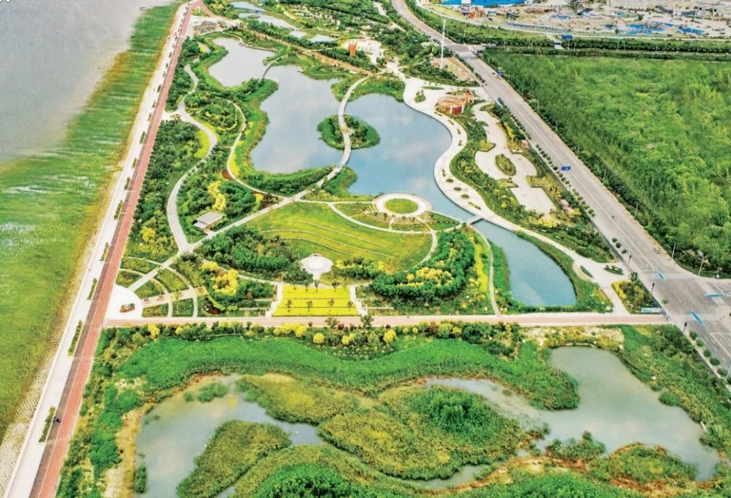 书刊导览 |《海岸空间——规划、修复、景观设计》09【连载】