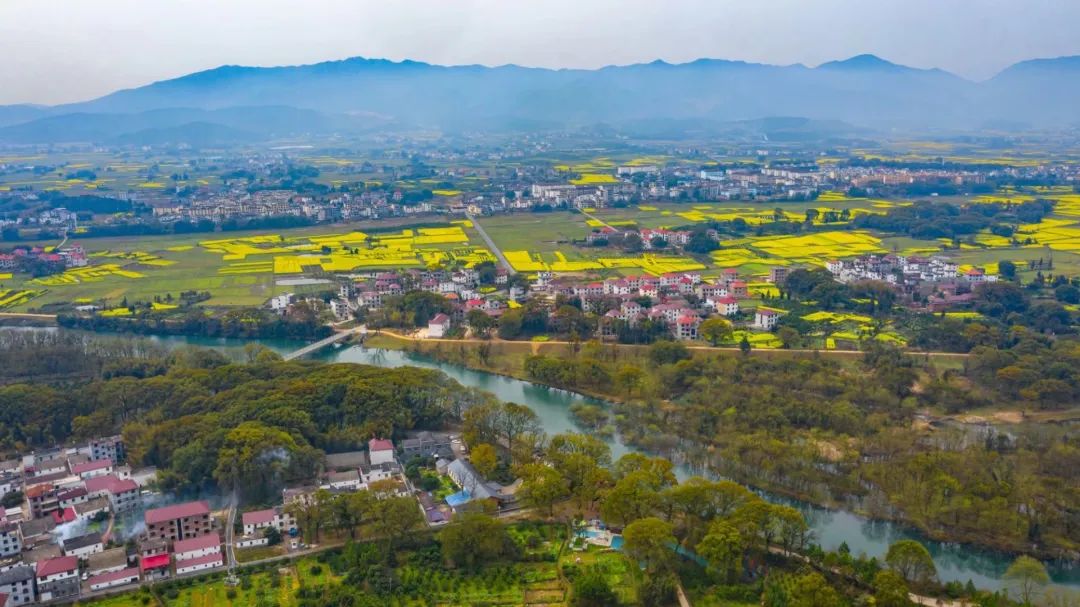以全域土地综合整治推进高质量发展的广东实践与思考