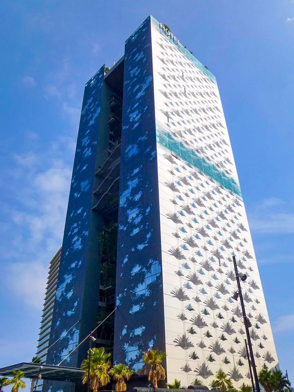 城市「生物多样性」的建设与经营 城市「生物多样性」的建设与经营