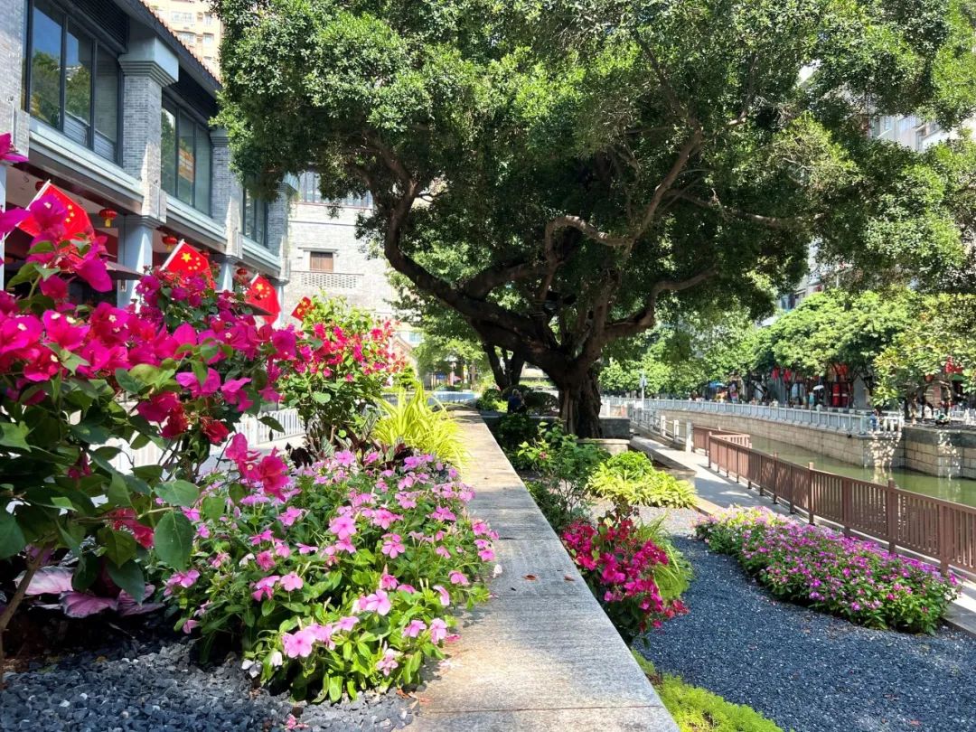 五“月”十二桥,再“叹”荔枝湾|广州味•规划思 五“月”十二桥,再“叹”荔枝湾|广州味•规划思